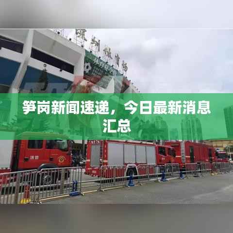 笋岗新闻速递,今日最新消息汇总