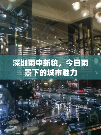 深圳雨中新貌,今日雨景下的城市魅力