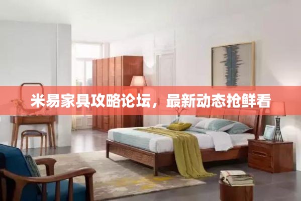 米易家具攻略论坛,最新动态抢鲜看