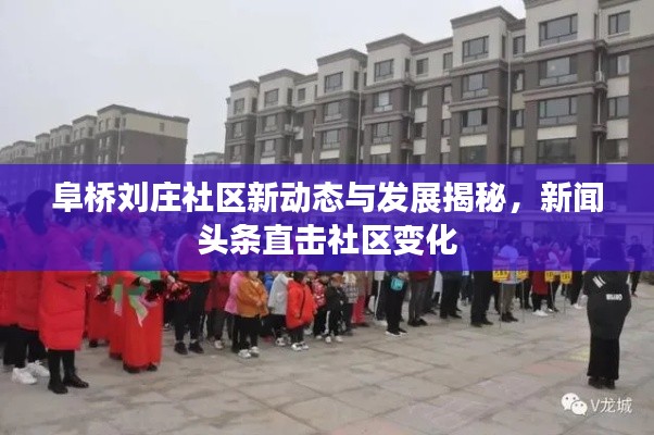 阜桥刘庄社区新动态与发展揭秘,新闻头条直击社区变化