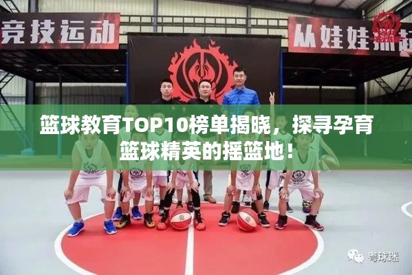 篮球教育TOP10榜单揭晓,探寻孕育篮球精英的摇篮地!