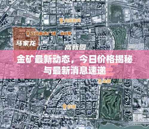 金矿最新动态,今日价格揭秘与最新消息速递
