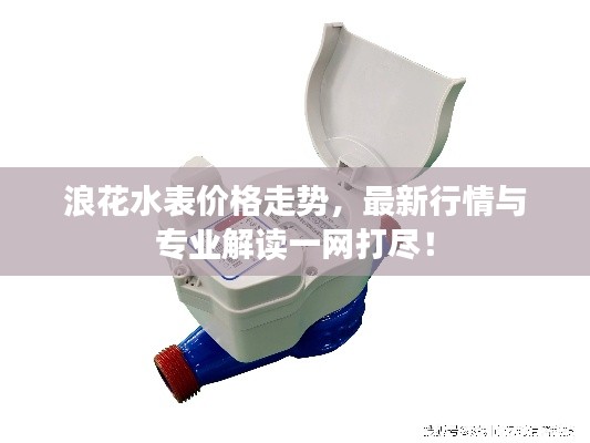 浪花水表价格走势,最新行情与专业解读一网打尽!