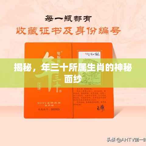 揭秘,年三十所属生肖的神秘面纱