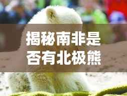 一言九鼎 第2页