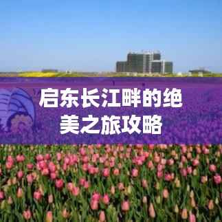 启东长江畔的绝美之旅攻略