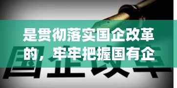 是贯彻落实国企改革的,牢牢把握国有企业改革的正确方向