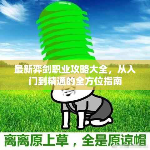 最新弈剑职业攻略大全,从入门到精通的全方位指南