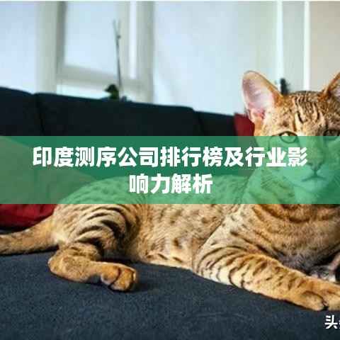 印度测序公司排行榜及行业影响力解析