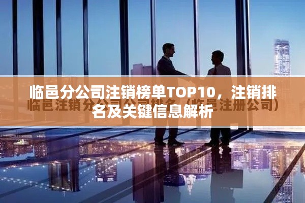 临邑分公司注销榜单TOP10,注销排名及关键信息解析