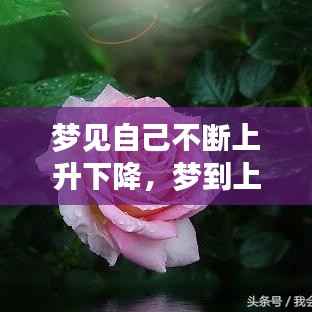 梦见自己不断上升下降,梦到上升然后极速下落