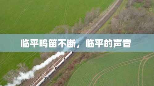 临平鸣笛不断,临平的声音