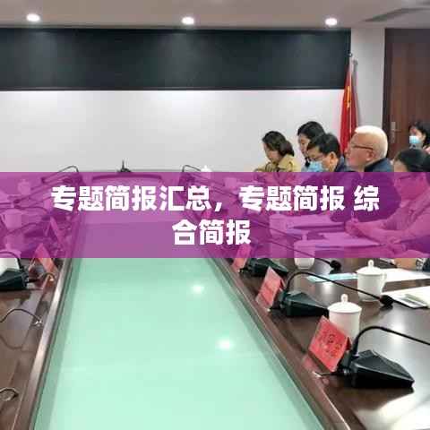 专题简报汇总，专题简报 综合简报 