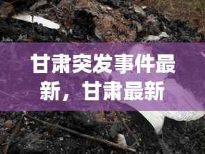 甘肃突发事件最新,甘肃最新事件8死