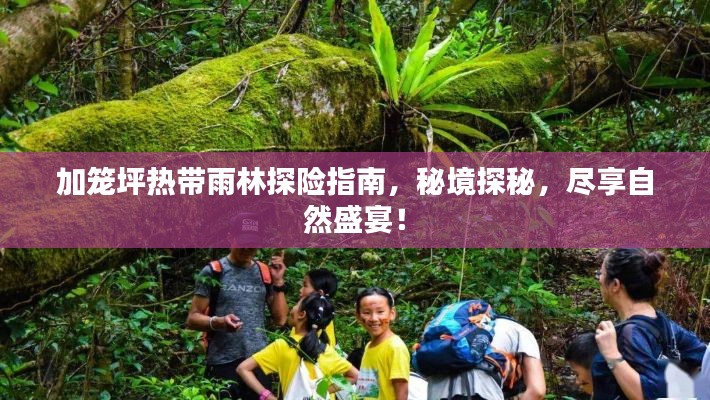 加笼坪热带雨林探险指南,秘境探秘,尽享自然盛宴!