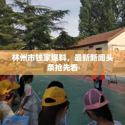 林州市独家爆料,最新新闻头条抢先看